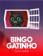 Bingo Gatinho